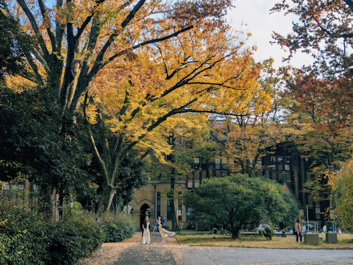 文京区のサードプレイスガイド：禅体験・リトリート編。学者町の坂と庭園が育む、知的孤独という静寂