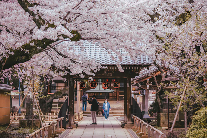 文京区のサードプレイスガイド：神社・寺院編。学問の神と格式高い社が支える、東京の学業成就の聖域