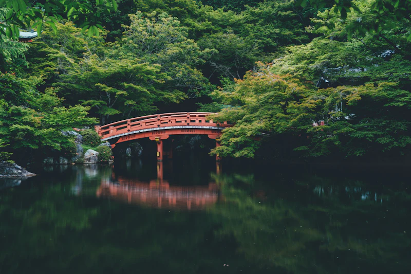三鷹市のサードプレイスガイド：神社・寺院編。江戸の水源に祈りを重ねてきた、水神信仰の杜