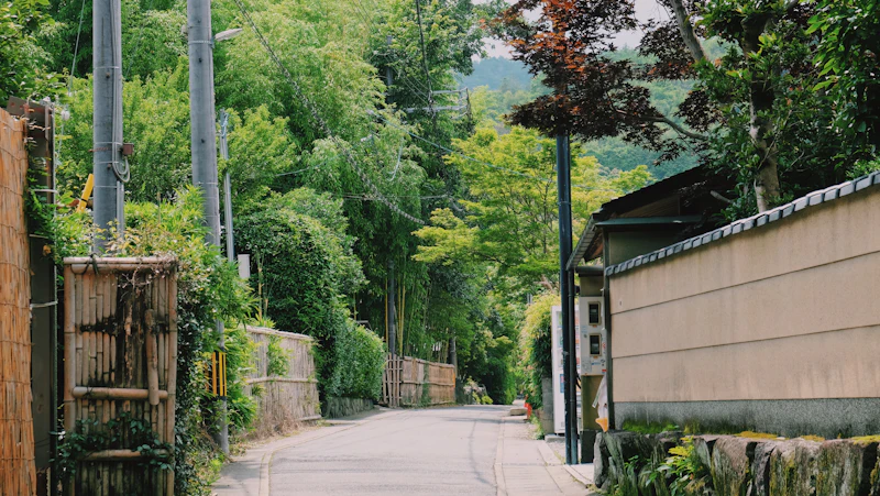 町田市のサードプレイスガイド：禅体験・リトリート編。尾根道と旧宿場町が刻む、上り下りする静けさ