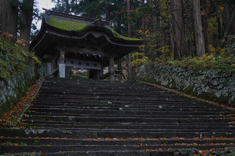 八王子市のサードプレイスガイド：神社・寺院編。市の名を生んだ神が鎮まる、城山の信仰