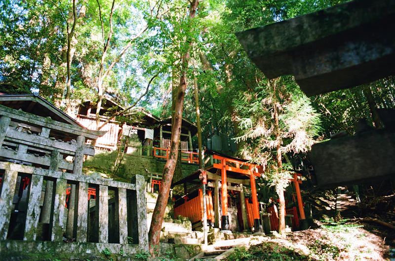 青梅市のサードプレイスガイド：神社・寺院編。山そのものを拝む、修験の系譜が息づく信仰の峰