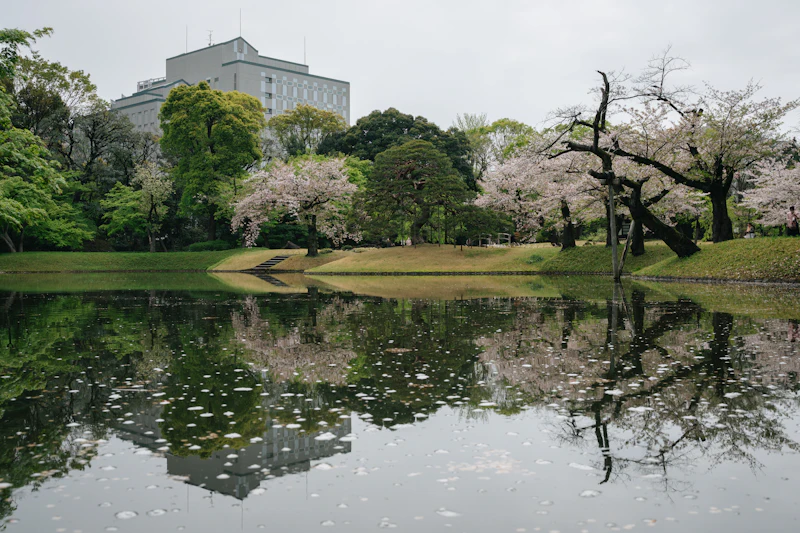 杉並区のサードプレイスガイド：禅体験・リトリート編。住宅街の水源公園と喫茶店文化が育む、暮らしに溶け込む静けさ