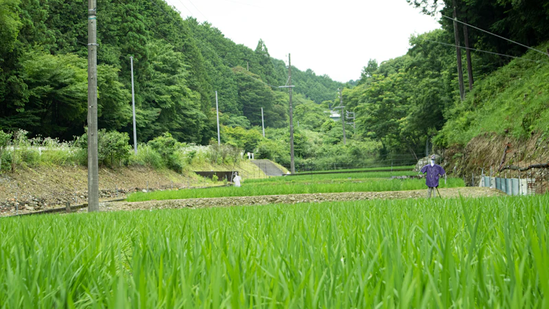 日野市のサードプレイスガイド：禅体験・リトリート編。田畑を潤してきた水路網が育む、生活に根差した静けさ
