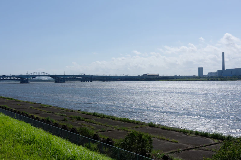江戸川区のサードプレイスガイド：文化・スポーツ・レジャー編。水がすべてを規定してきた、低地の記憶