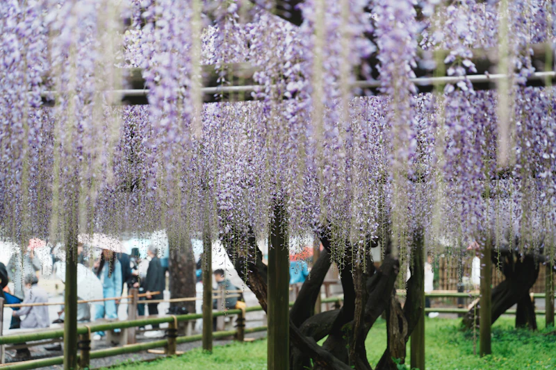 足立区のサードプレイスガイド：神社・寺院編。関東三大師が担う、願掛けという実利の信仰